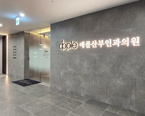 韓国 産婦人科 日本語対応 妊娠検査から美容施術までApple産婦人科チョンホ院で完結
