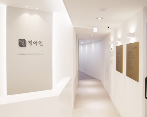 チョンアヨン皮膚科クリニックで受ける韓国 スキンブースター 自然な美肌を実現