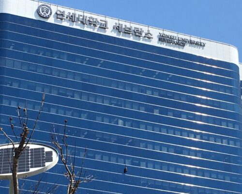 韓国 健康診断 海外からの受診ならセブランスプレミアム健康診断センター 質の高い人間ドックと精密検査