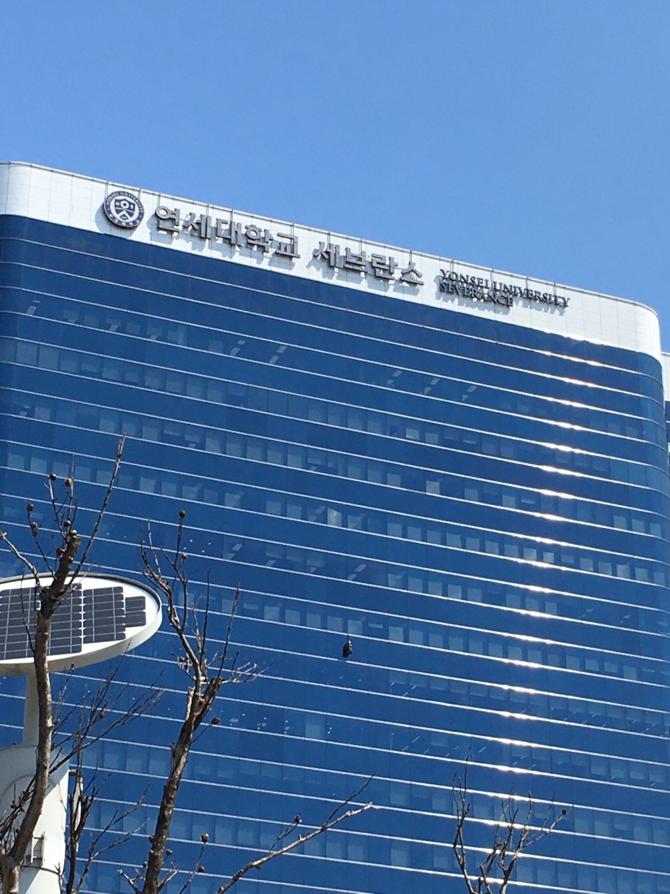韓国 健康診断 海外から