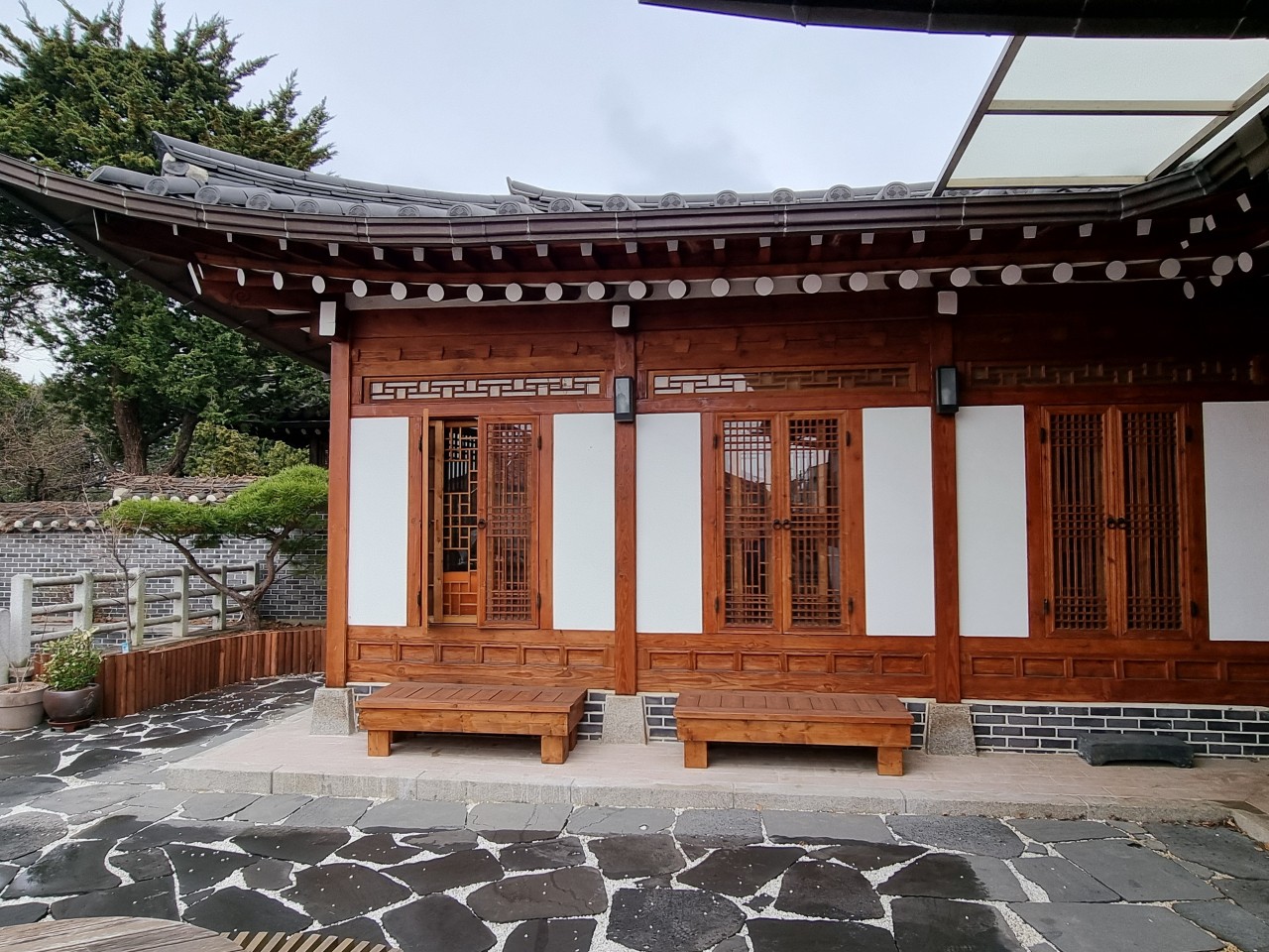 韓国 睡眠障害 治療