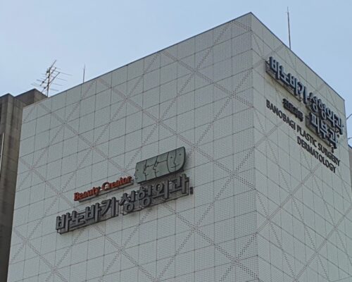 韓国 美容整形のトップクリニック バノバギ整形外科の魅力