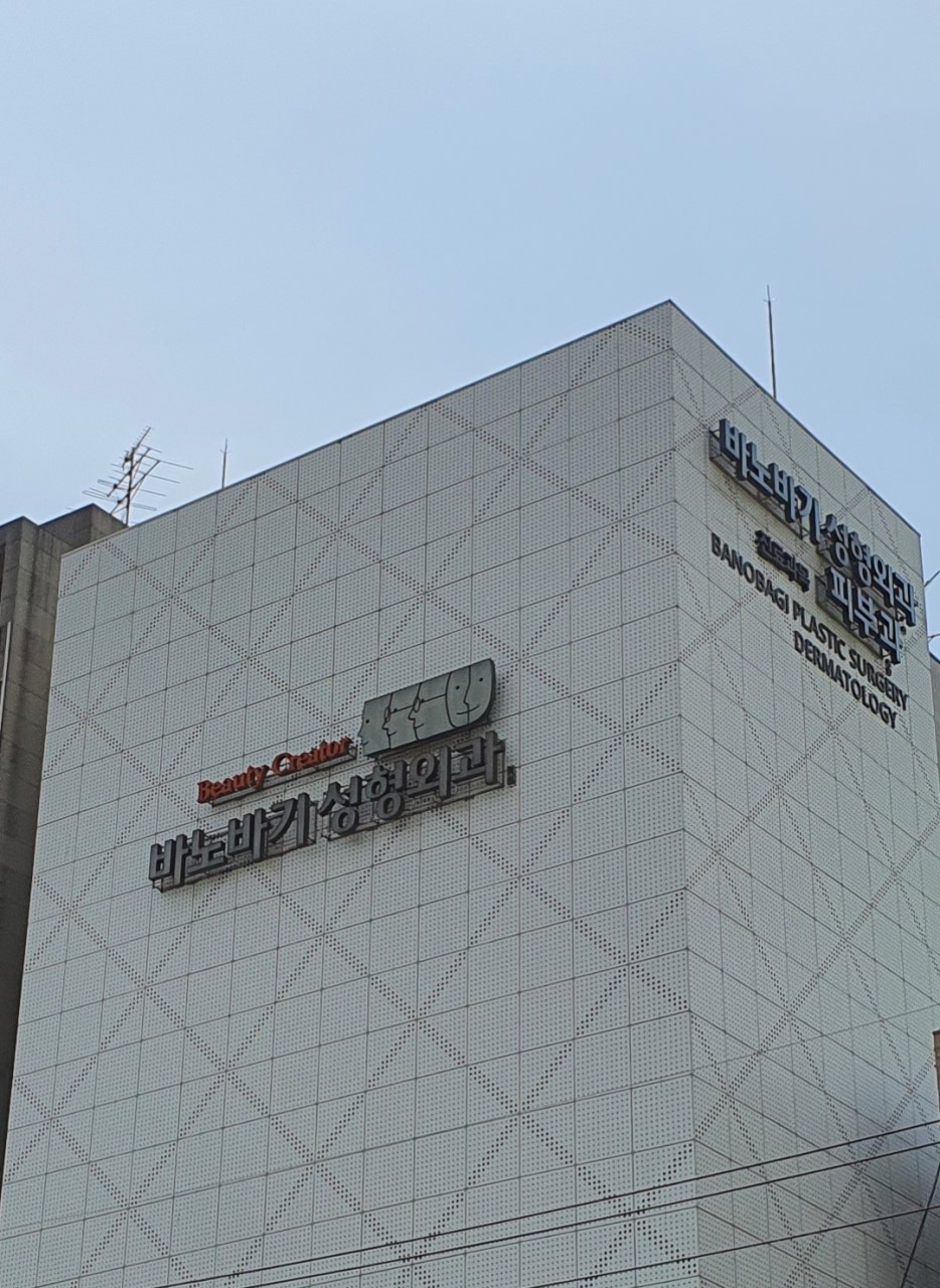 韓国 美容整形