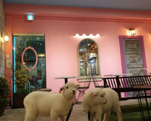 ソウル弘大の癒しカフェ Thanks Nature Cafeでスイーツ体験