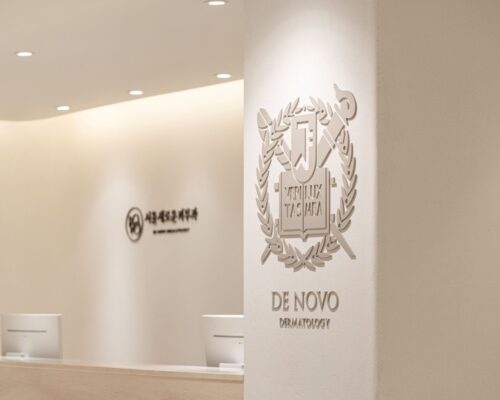 韓国 肌質改善 皮膚科 De Novo皮膚科｜ソウルで専門医ケア